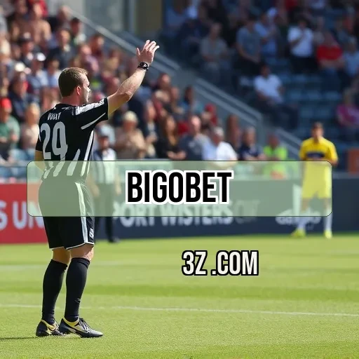 bigobet Apostas Esportivas