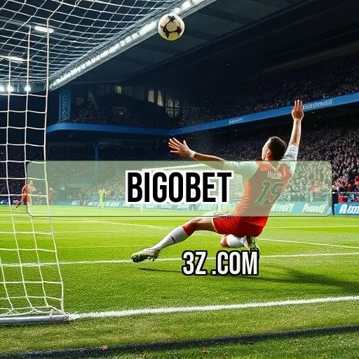 bigobet Dicas e Truques